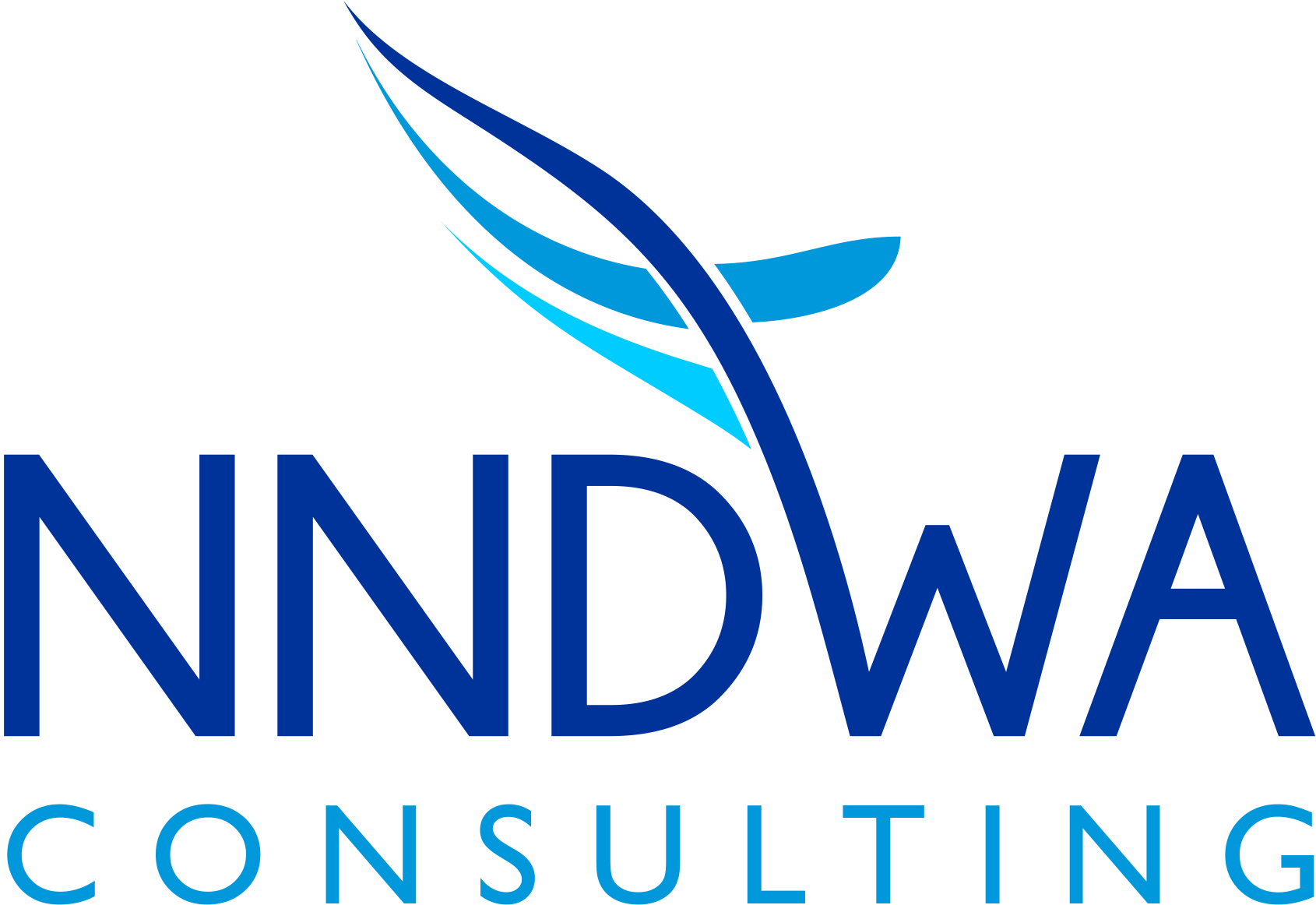 Nndwa Consulting